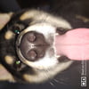 NineGag profile picture for @seiko