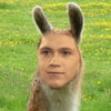 NineGag profile picture for @surfboard