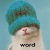 NineGag profile picture for @toilette