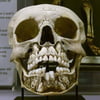 NineGag profile picture for @dentistry
