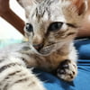 NineGag profile picture for @chic