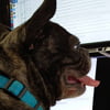 NineGag profile picture for @chris