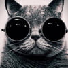 NineGag profile picture for @gise