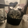 NineGag profile picture for @everything