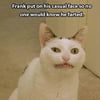 NineGag profile picture for @interaction