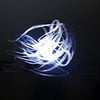 NineGag profile picture for @lighted