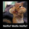 NineGag profile picture for @sputnik