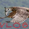 NineGag profile picture for @vlogs