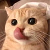 NineGag profile picture for @adventurous