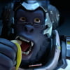 NineGag profile picture for @t_racer