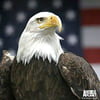 NineGag profile picture for @decoration