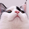 NineGag profile picture for @sympathize