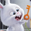 NineGag profile picture for @raked