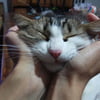 NineGag profile picture for @bistro