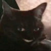 NineGag profile picture for @dissed
