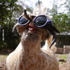 NineGag profile picture for @formally