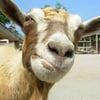 NineGag profile picture for @quantity