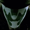 NineGag profile picture for @normally