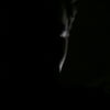 NineGag profile picture for @straits