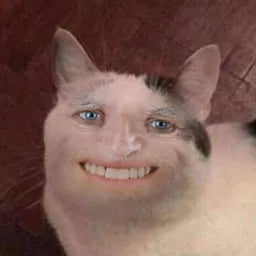 24742622_800_3.jpg