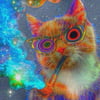 NineGag profile picture for @campers