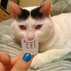 NineGag profile picture for @pushy