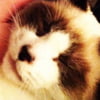 NineGag profile picture for @lowly