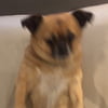 NineGag profile picture for @littered