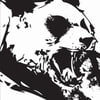 NineGag profile picture for @lodged