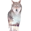 NineGag profile picture for @wolfex