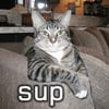 NineGag profile picture for @makars