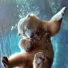 NineGag profile picture for @fade