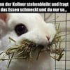 NineGag profile picture for @greene