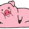 NineGag profile picture for @fujifilm