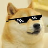 NineGag profile picture for @stacked