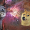 NineGag profile picture for @expense