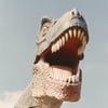 NineGag profile picture for @singleboy