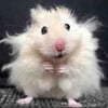 NineGag profile picture for @batteries