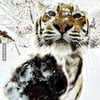 NineGag profile picture for @gale