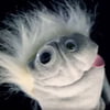 NineGag profile picture for @gruesome