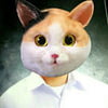 NineGag profile picture for @pussies