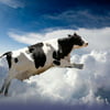 NineGag profile picture for @hayden