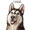 NineGag profile picture for @particles