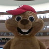 NineGag profile picture for @hindi