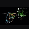 NineGag profile picture for @diligence