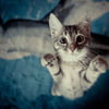 NineGag profile picture for @filing