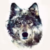 NineGag profile picture for @followed