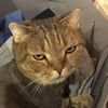 NineGag profile picture for @concentrated