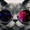 NineGag profile picture for @lapses