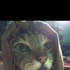 NineGag profile picture for @jab